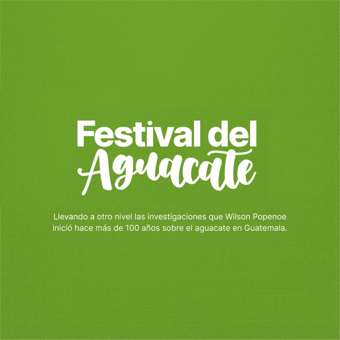 Banner_web_Festival_del_aguacate Banner_web_Festival_del_aguacate