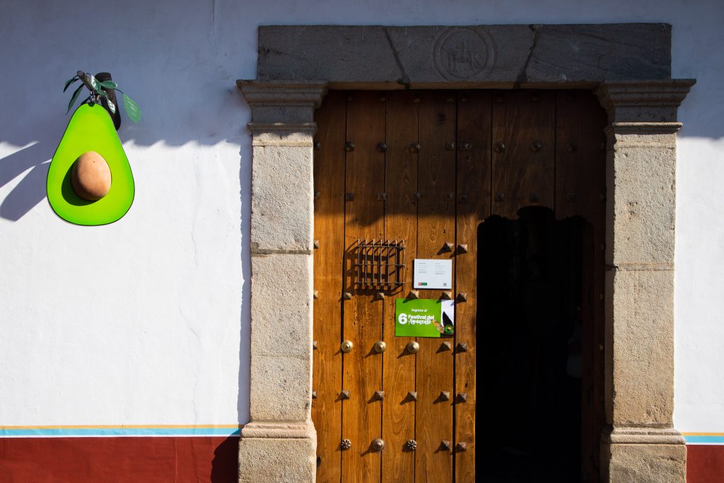 1_Entrada_festival_del_aguacate_2025_Sección_¿Por_qué_nace_el_festival_o_cuál_es_el_objetivo_del_festival_