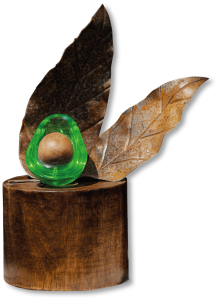 premio-festival-aguacate-ufm-8